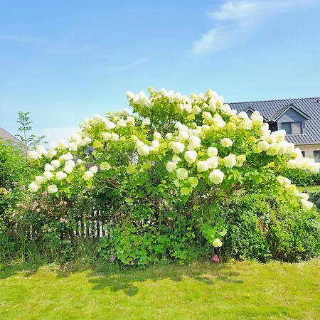 Ferienhaus Humptrup Hébergement de vacances Humptrup