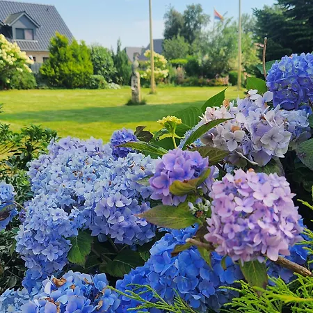 Ferienhaus Humptrup Ferienhaus Humptrup