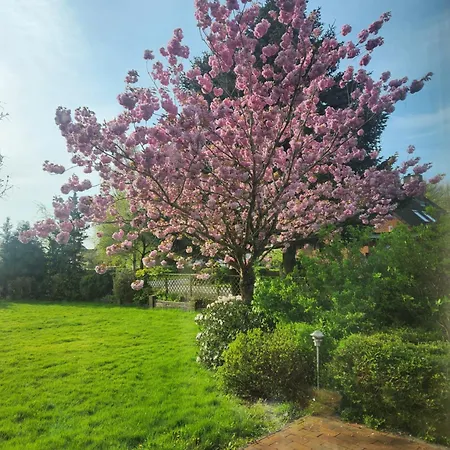 Hébergement de vacances Ferienhaus Humptrup *