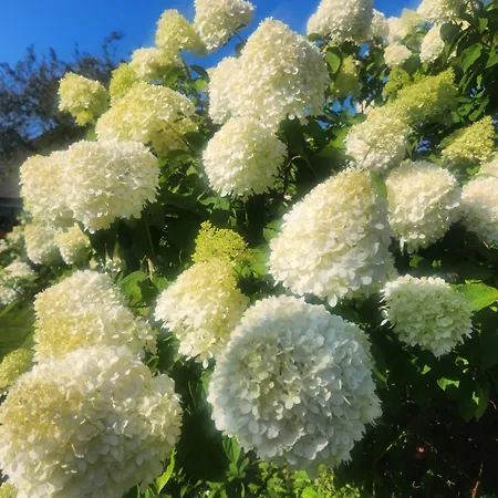 Ferienhaus Humptrup * Humptrup