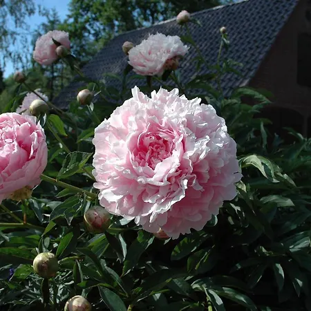 Hébergement de vacances Ferienhaus Humptrup *