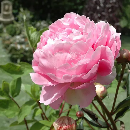 Ferienhaus Humptrup Hébergement de vacances Humptrup